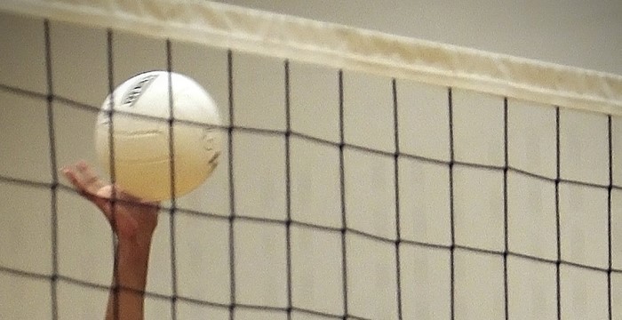 volleyball-1575595_1920.jpg